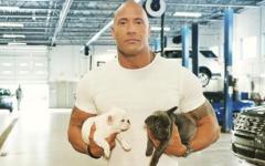 12-21_the_rock