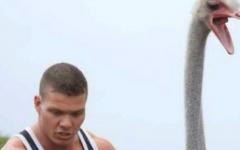 Tyson Kidd Riding An Ostrich.