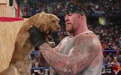 7_taker