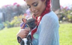 Eva Marie And Her Two Puppies