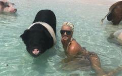 36_maryse_pig