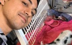 TJP With His Dalmatian Pig