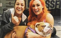 Bayley & Becky & A Bulldog