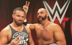 The Revival Are Revived