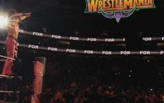 Shinsuke Nakamura Is Going To WrestleMania