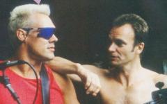 Sting & Sting