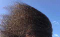 We All Want Hair Like Tama Tonga