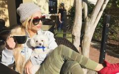 Carmella, A Hot Drink, And A Dog