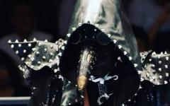 Marty Scurll At NJPW Best Of The Super Juniors