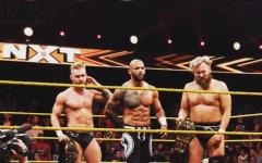 Ricochet And Moustache Mountain