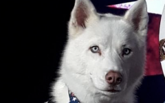 screen_shot_2018-09-16_at_6