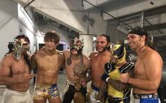 40061066_463682694135050_713073091857031824_n