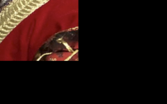 Meiko Satomura Numba One