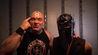 The Distraction On Twitch: CHAOS PROJECT JOINS THE STREAM! | Fightful Gaming