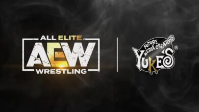 AEW Provides Very Minor Updates On Elite GM And Console Game Process