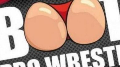 The Distraction Plays TEW: Booking Booty Pro Wrestling (Episode 17) | Fightful Gaming