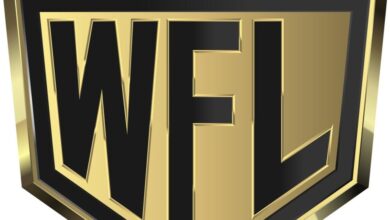 New MMA Promotion ‘World Fight League’ Format, Potential Launch Date Revealed
