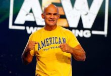 junior-dos-santos