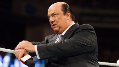 paul heyman bio