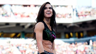 AJ Lee Return Details