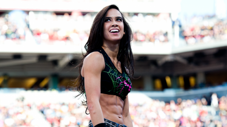 AJ Lee Return Details