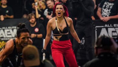 Hikaru Shida Comments On Missing AEW’s Owen Hart Foundation Women’s Tournament