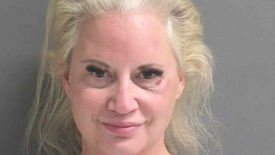 Tammy Sytch Arrested And Facing Nine Charges In Connection To March 2022 Car Accident; Posts Bail