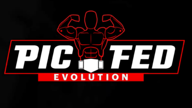Pic Fed Evolution, Available Now On Steam, Touts A ‘Digital Wrestling Figure Sandbox’ For Players
