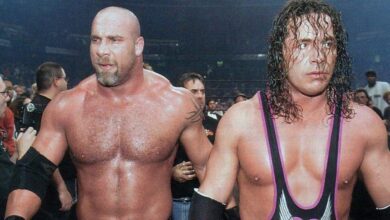 Goldberg’s Relationship With Bret Hart Before The Kick