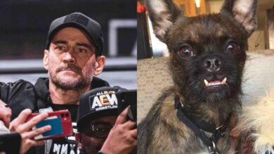 Larry The Dog, Elite, Emma Is Back, Hobbs Push | Grapsody 10/29/22