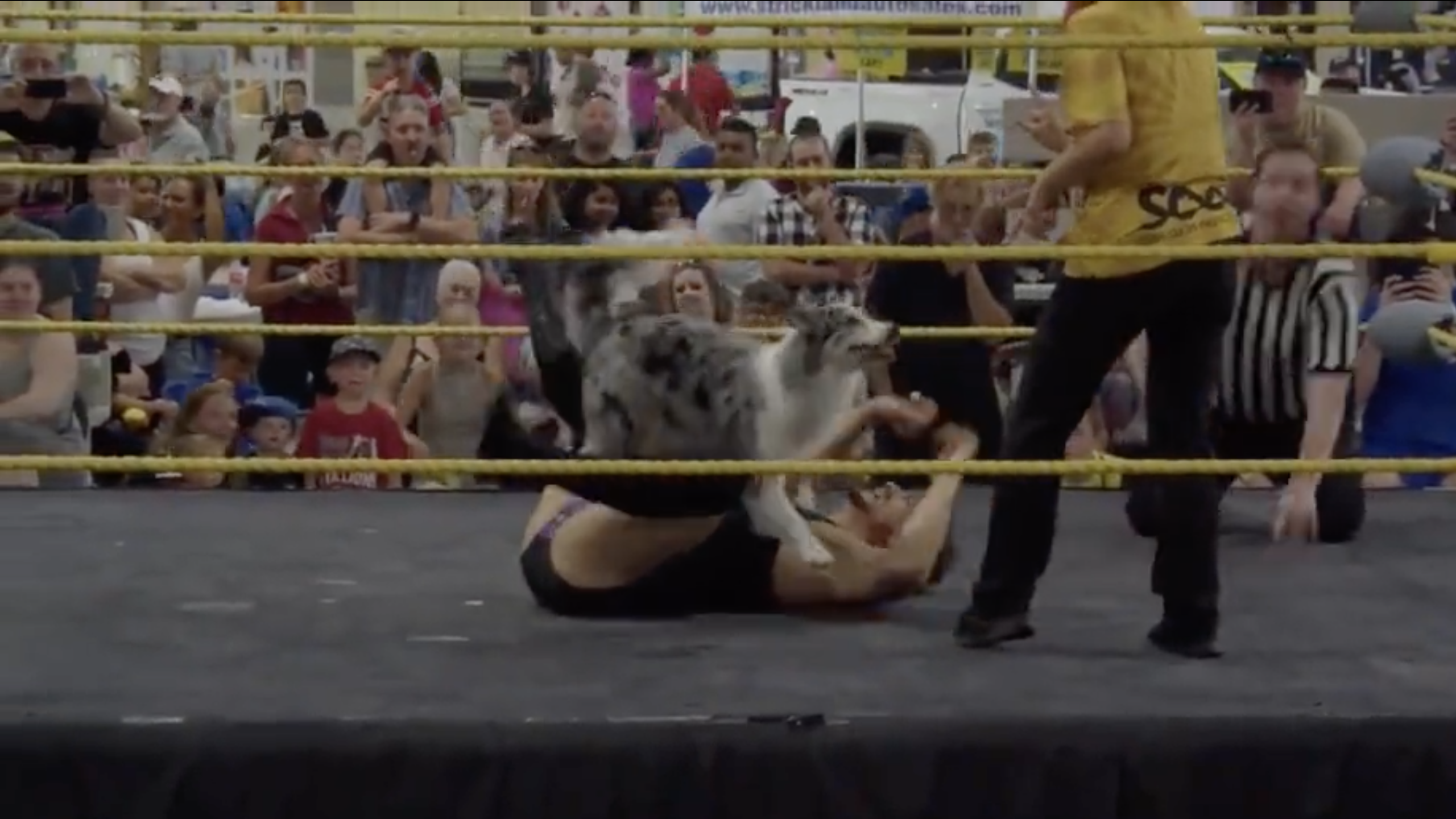 screen_shot_2022-10-11_at_7