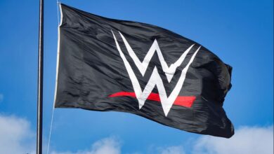 WWE Trademarks Its Logo For Multiple Purposes Including NFTs And ‘Virtual Reality Game Services’