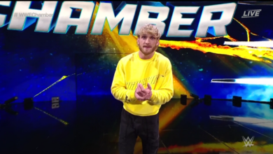 Austin Theory Retains WWE US Title Inside Elimination Chamber, Logan Paul Stomps Seth Rollins