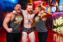 brawling_brutes_wwe