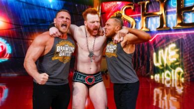 brawling_brutes_wwe