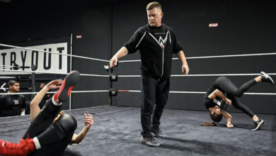 Ace Steel Comments On Current NXT Stars: Tiffany Stratton, Bron Breakker, and Joe Gacy.