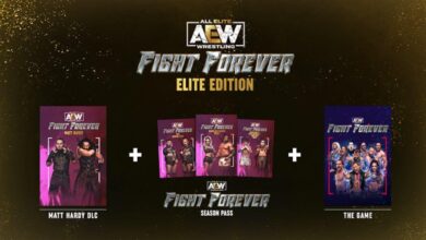 AEW Fight Forever ‘Elite Edition’ Announced: Matt Hardy As Pre-Order Bonus, FTR, Keith Lee, More Set