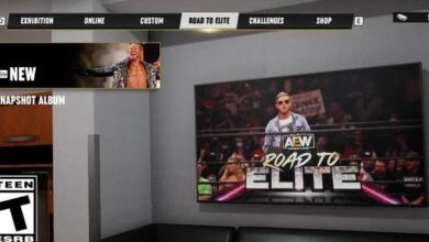Justin Leeper Says It Would Be ‘Really Neat’ To Expand Road To Elite Mode In AEW Fight Forever