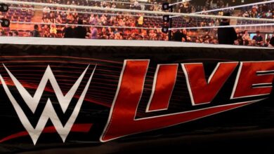 WWE Live Results (10/15): CM Punk vs. Dominik Mysterio Headlines