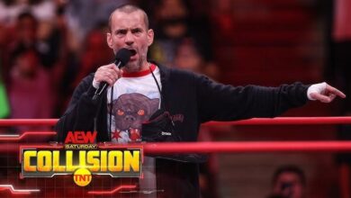 cm punk