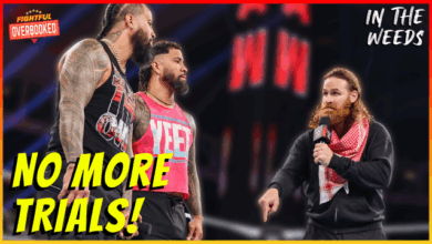 The Bloodline NEEDS Sami Zayn | In The Weeds 11/6/24