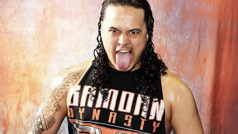 lance-anoai