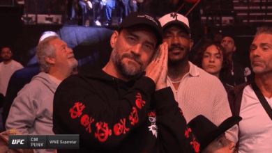 CM Punk Appears In The Crowd At UFC 311
