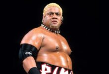 rikishi