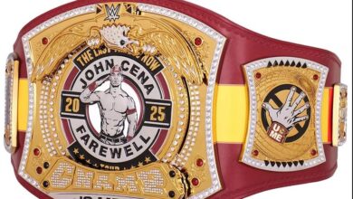 WWE Selling John Cena Farewell Tour Brussels Spinner Championship