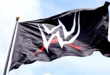 wwe_logo