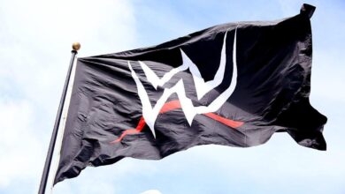 wwe_logo