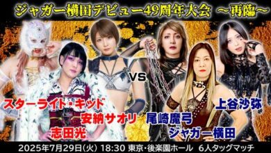 Hikaru Shida To Be In Action For OZ Academy On July 29th