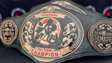 NJPW Introduces Tag Team Championships For TAMASHII Brand