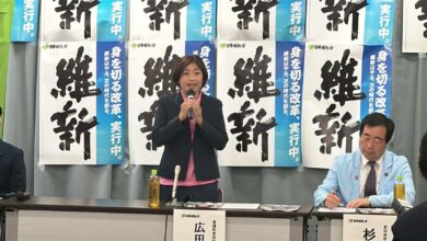 Sakura Hirota Entering Politics, Plans To Resume Her Wrestling Career